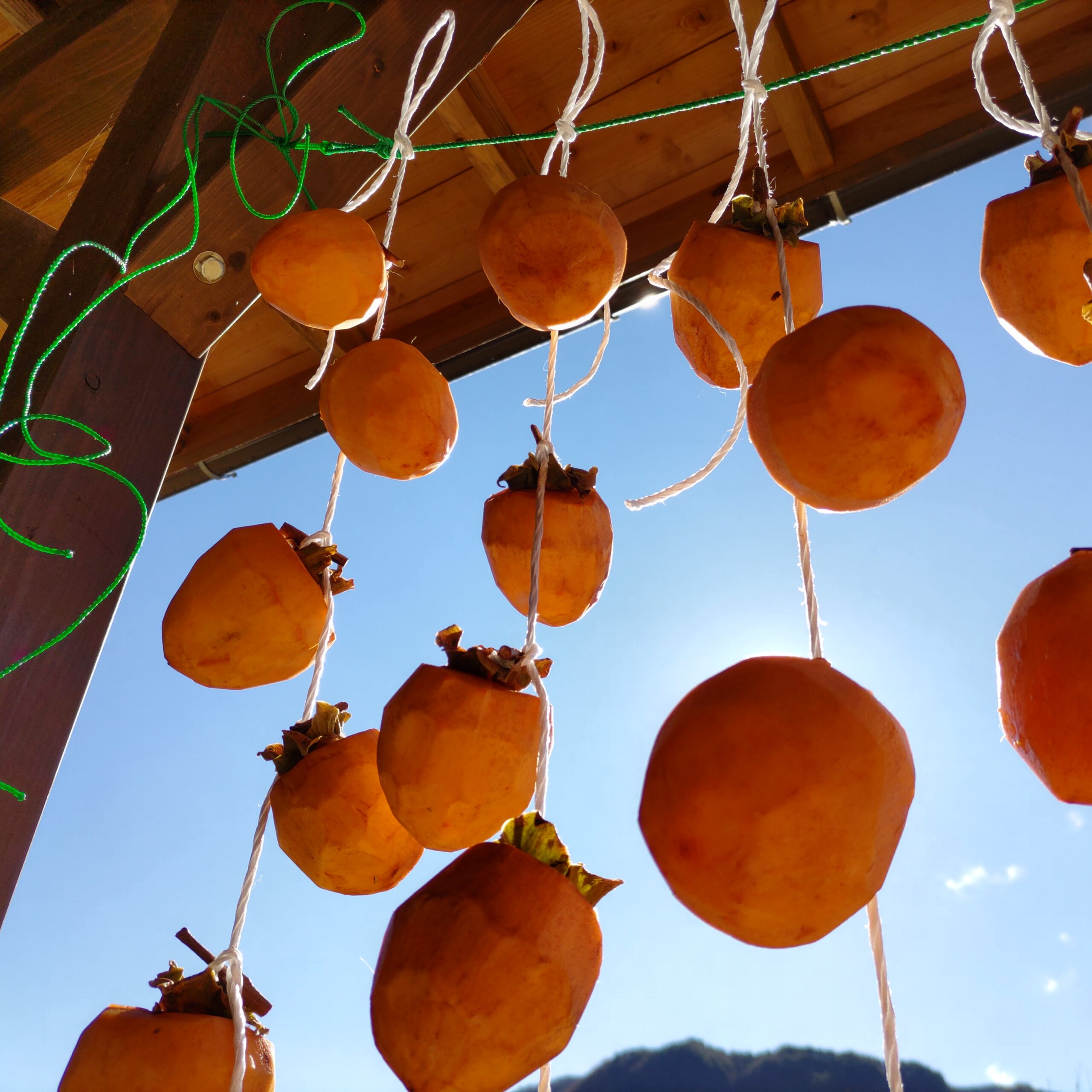 柿を干しました