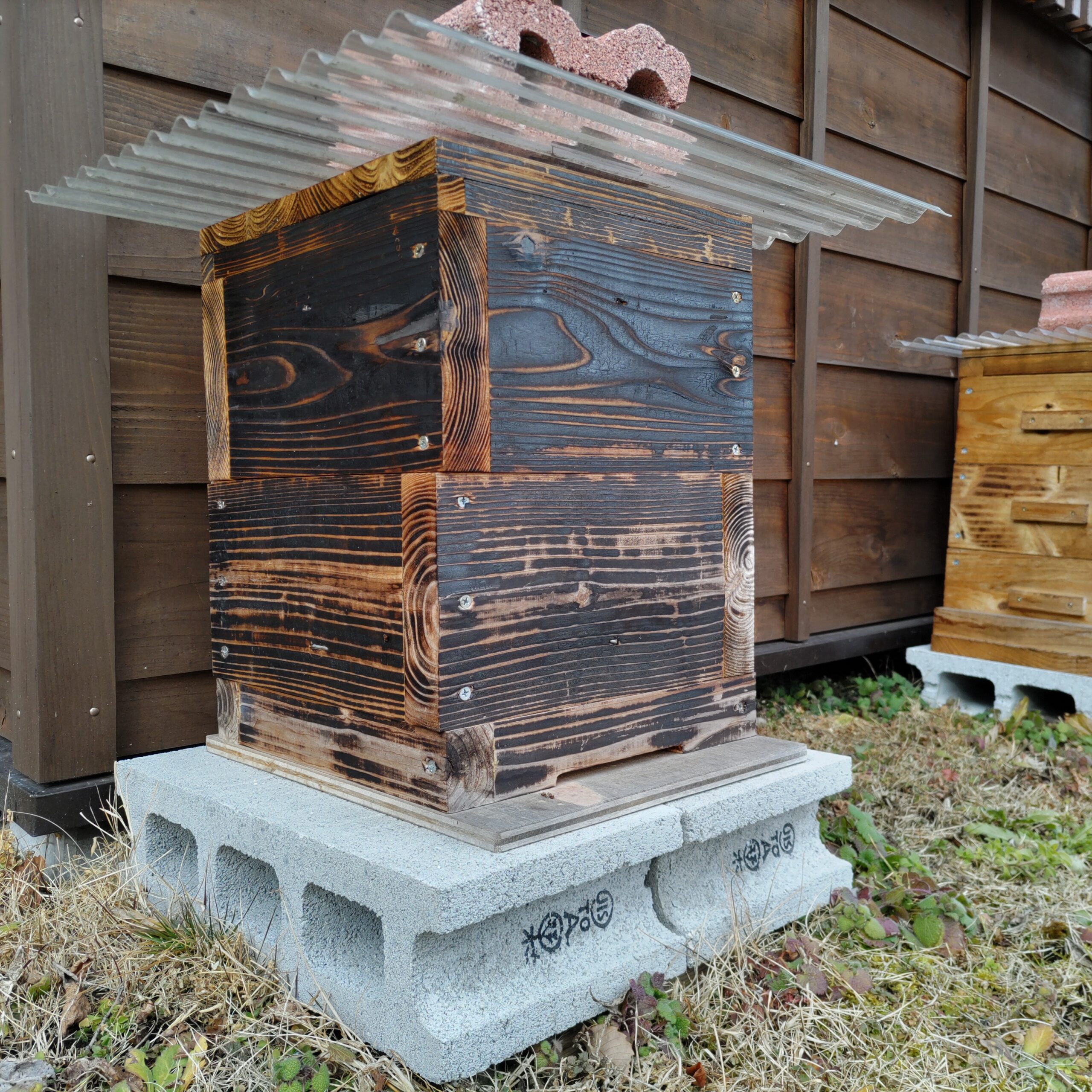 ニホンミツバチの巣箱