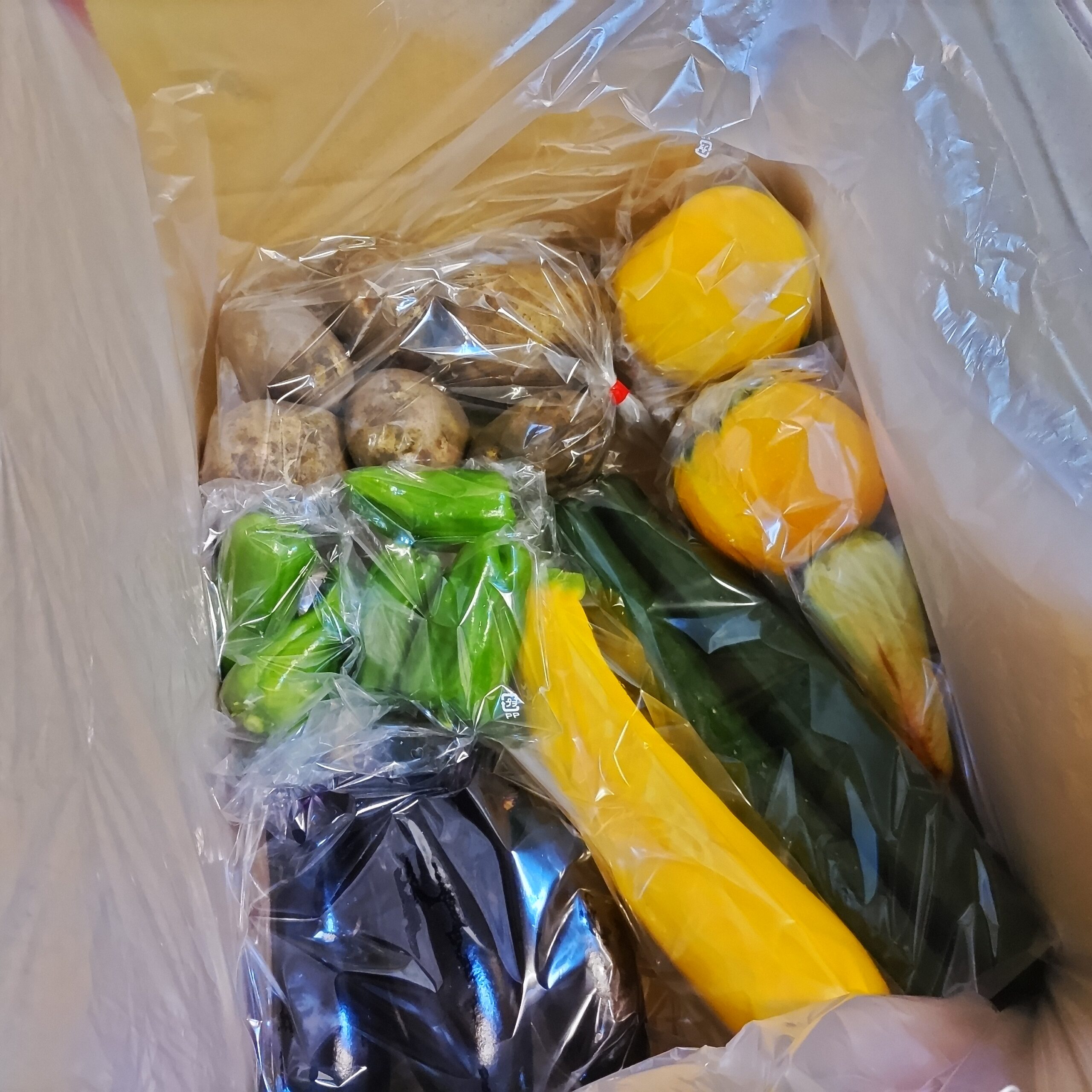 ２０２４年度の野菜づくりのこと