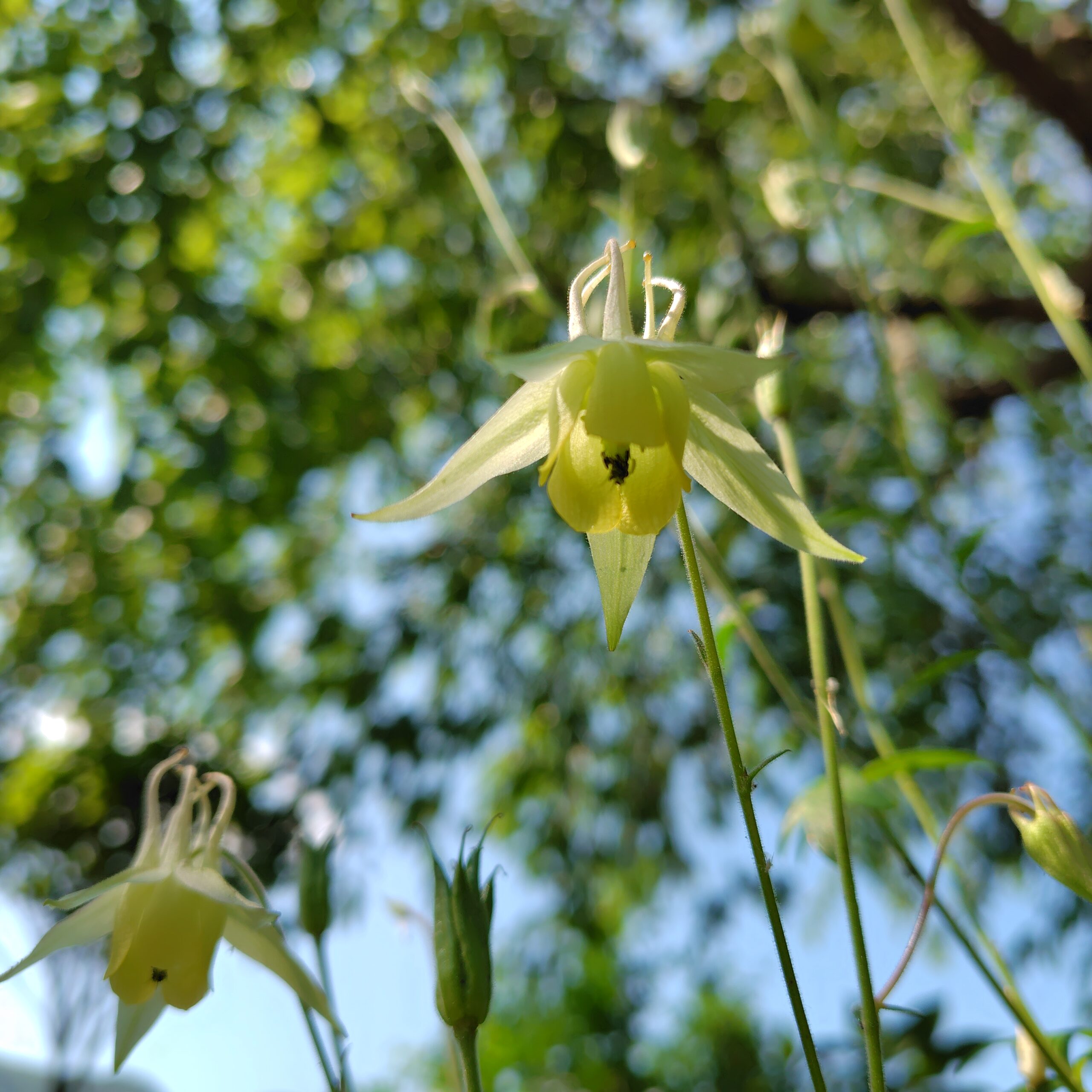 ご意見・ご要望・お叱りの声「実家へ贈り物として野菜ボックスをお届けしたいのですが…」